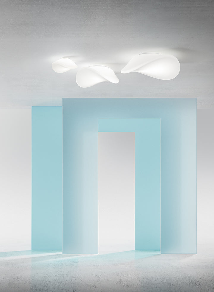 Balance Wall Ceiling Light