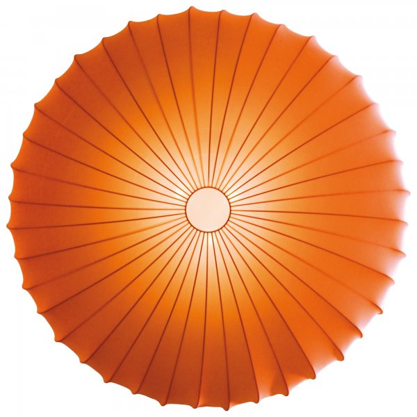 Muse Ceiling & Wall Light