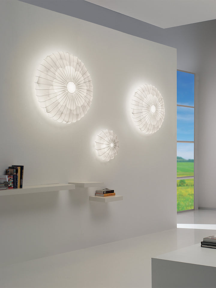 Muse Ceiling & Wall Light