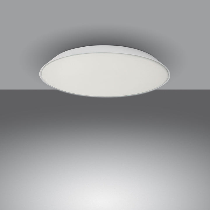 Febe Wall / Ceiling Light
