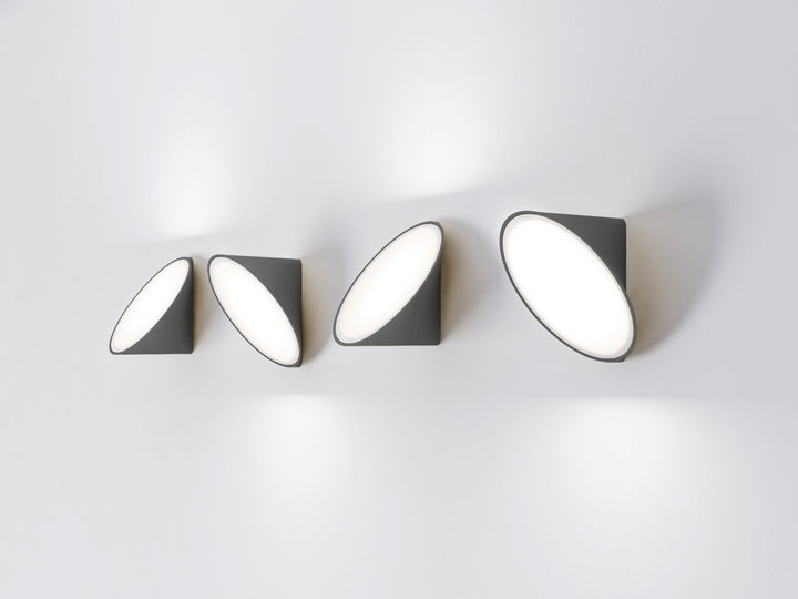 Orchid Wall Light