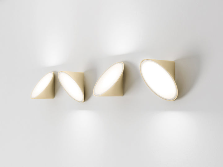 Orchid Wall Light