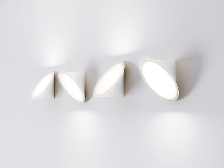Orchid Wall Light