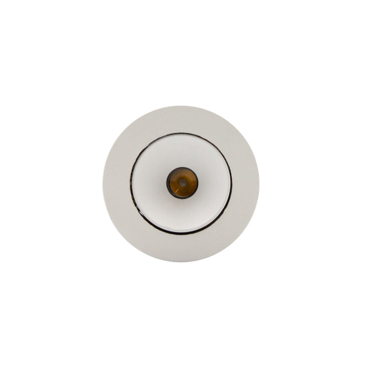 Darc 40 Tilt Downlight