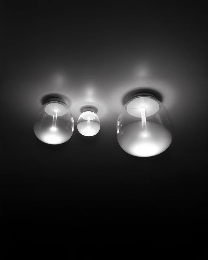 Empatia Ceiling Wall Light