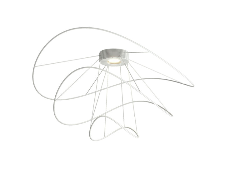 Hoops Ceiling Light