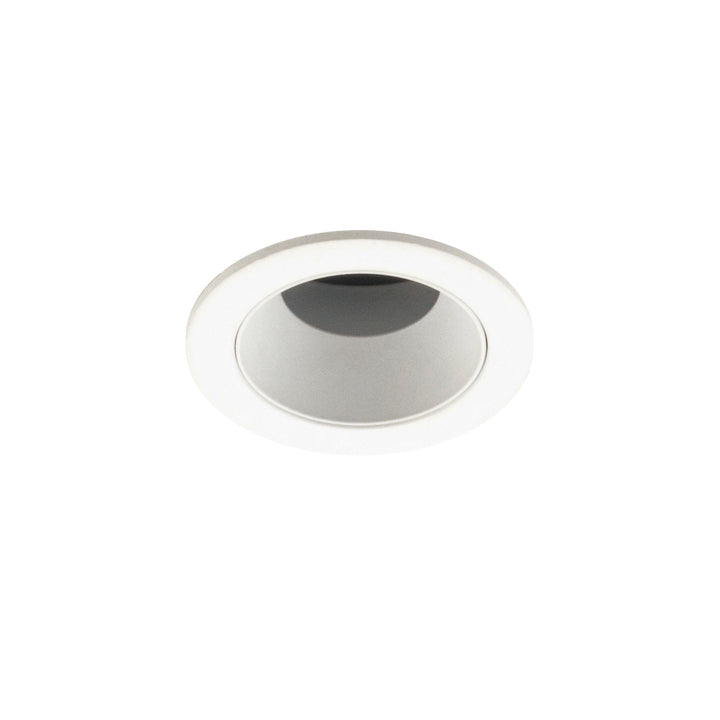 Rai 40 Downlight