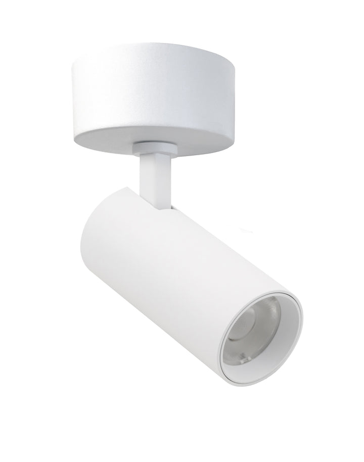 Rogue Spot Light