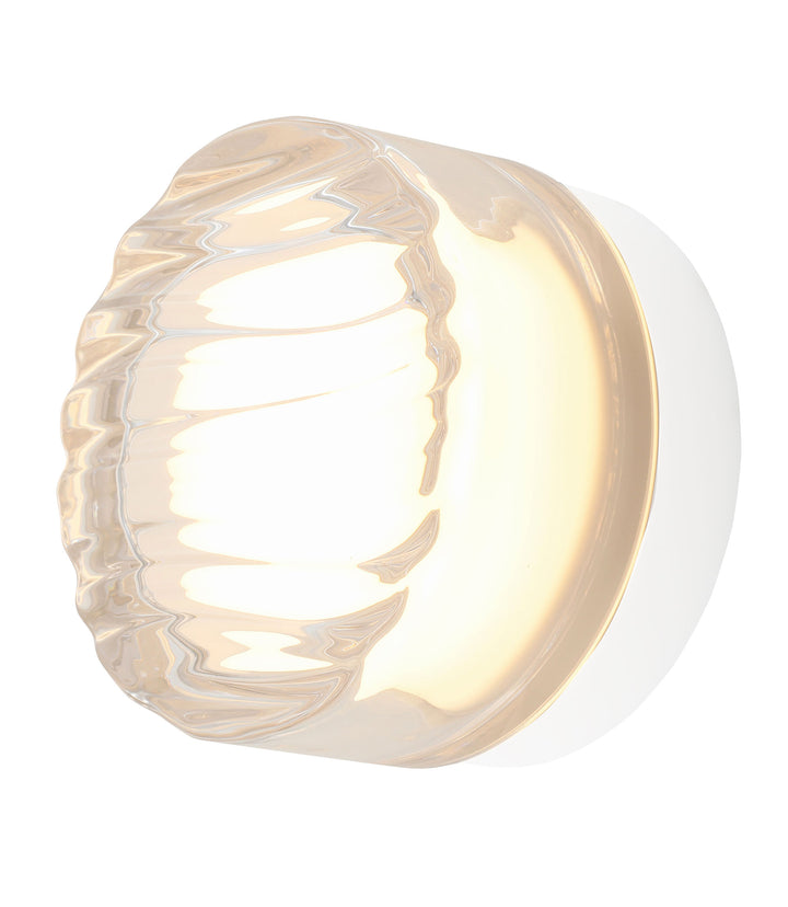 Loop Ceiling Wall Light