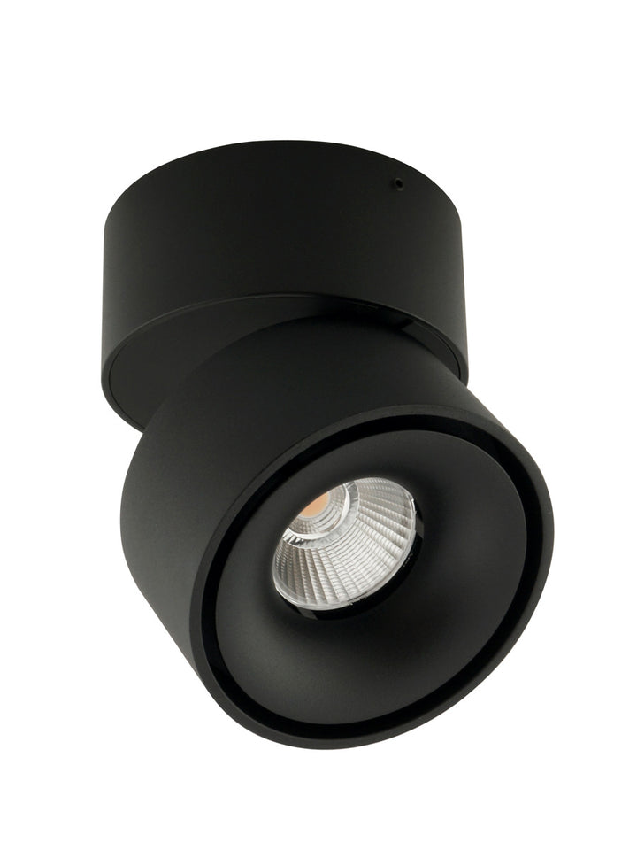 Tommy Ceiling Mount Spot