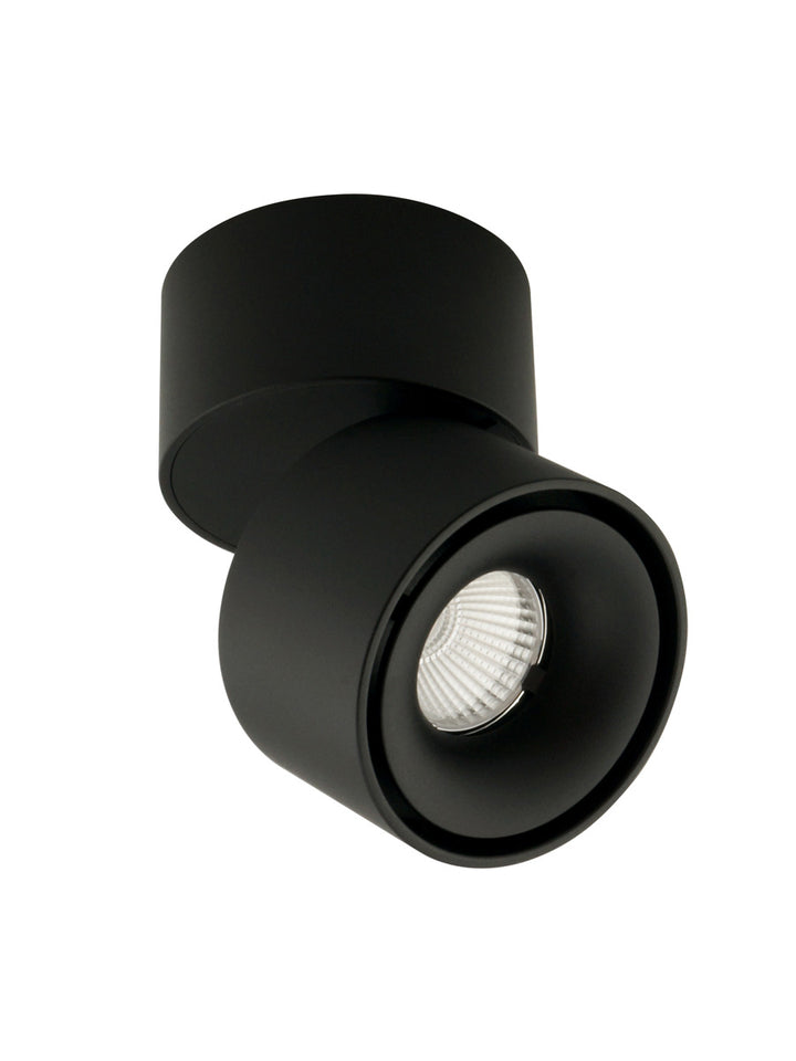 Tommy Ceiling Mount Spot