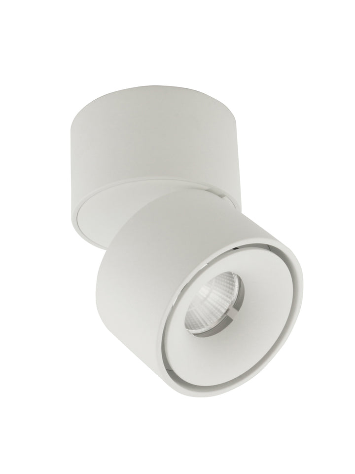Tommy Ceiling Mount Spot