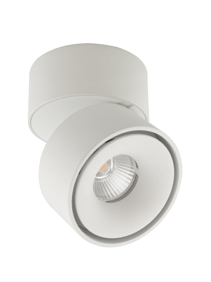 Tommy Ceiling Mount Spot