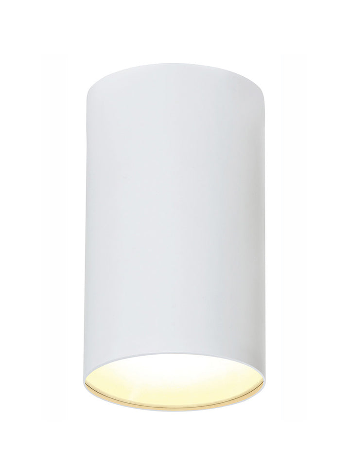 Zuka Ceiling Light