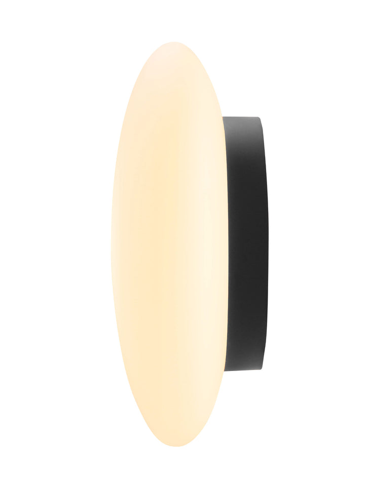Loop Piatto Ceiling Wall Light
