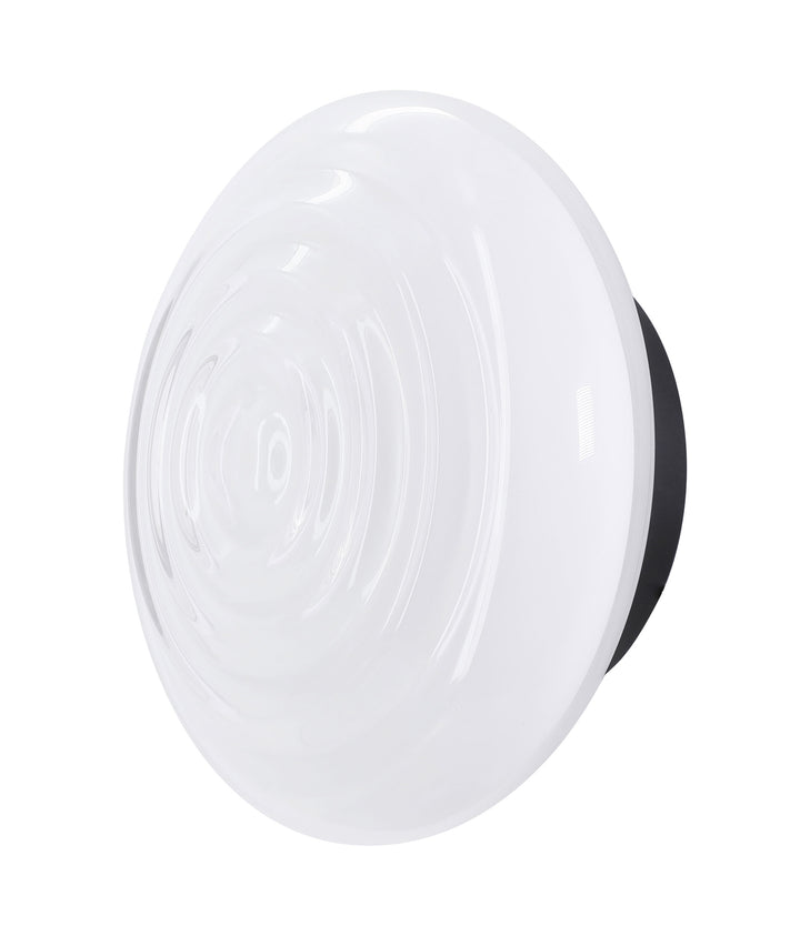 Loop Piatto Ceiling Wall Light
