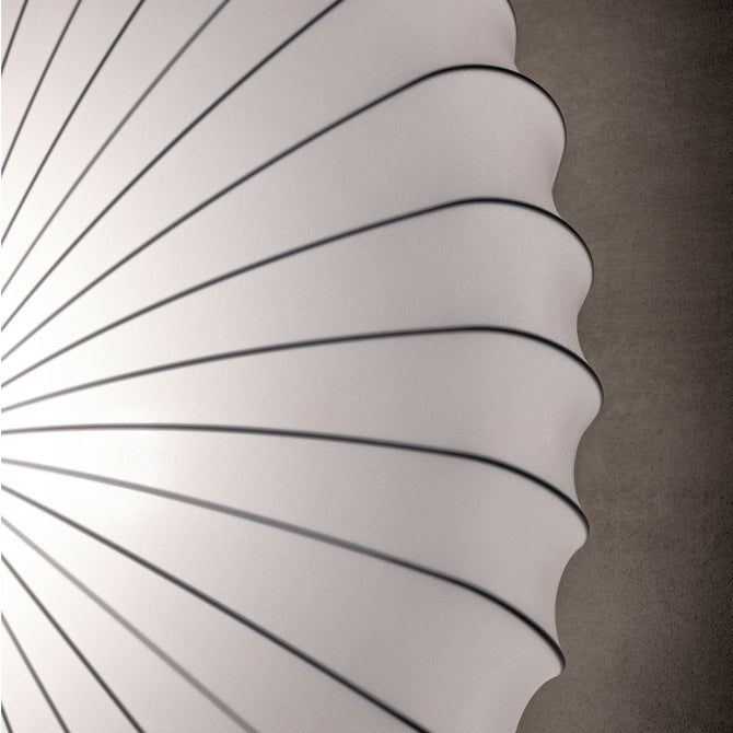 Muse Ceiling & Wall Light