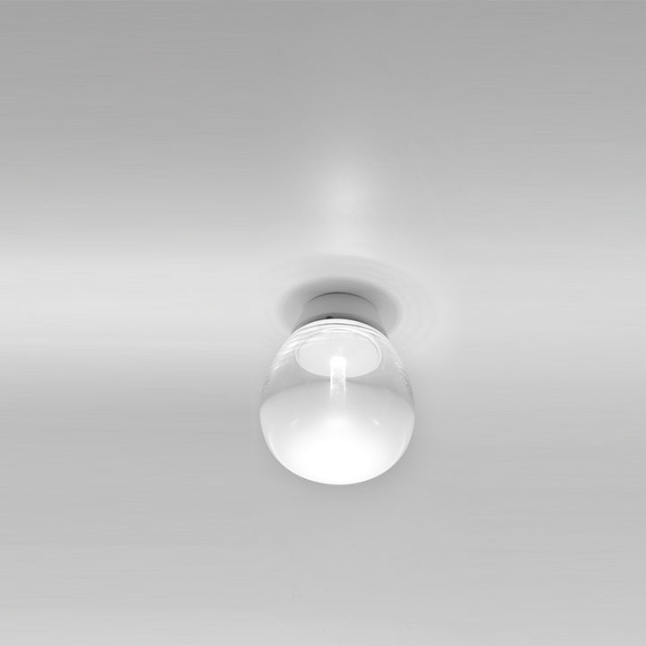 Empatia Ceiling Wall Light